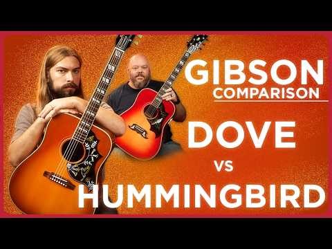 Gibson Dreadnought Battle: Hummingbird vs. (The Underrated) Dove