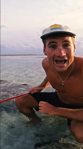 Hunting Exotic Creatures In Tide Pool