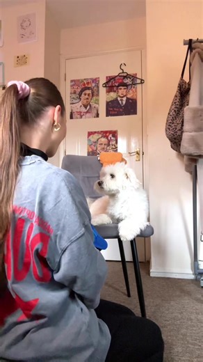 _PABLO_GRECU_ (@_pablo_grecu_)’s videos with original sound - _PABLO_GRECU_