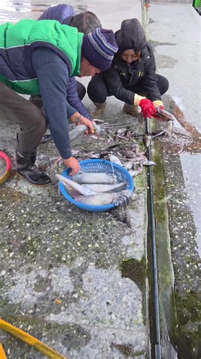 誰說小的沒人要？小老闆通通帶回家！