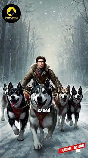 The Most Famous Dogs in History – Who Made the Biggest Impact