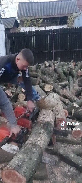 Stihl 362 C vs Husqvarna 365 Special Comparison