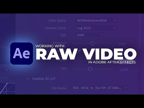 Access RAW Settings in Adobe After Effects (.R3D RAW)