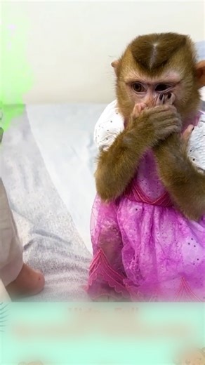 550K views · 10K reactions | Monkey Hair Red called mom for help when...