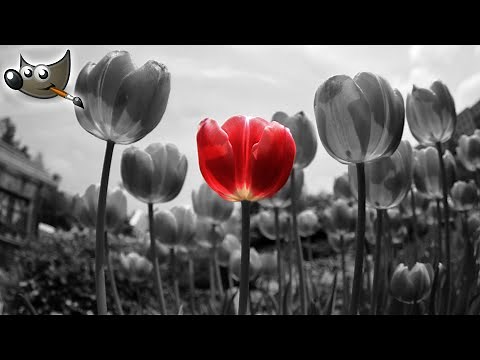 Colorkey Effekt | Gimp Tutorial Deutsch