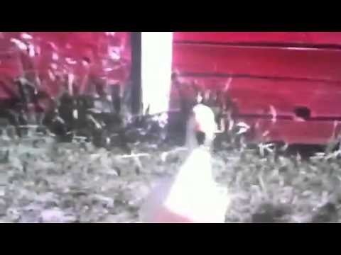 Sesame Street - What Sound does a Duck make?