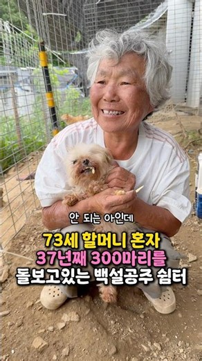 백설공주 쉼터 사료후원 “두번째 이야기..🥹”