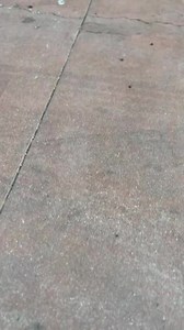 11K views · 655 reactions | UniverSoul Circus on Reels | Facebook