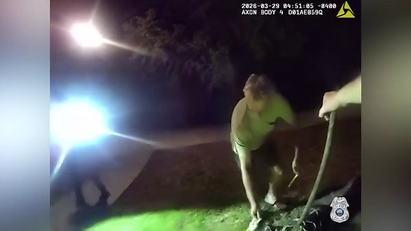 Sharp-toothed home ‘intruder’ spotted having pool party as residents call police