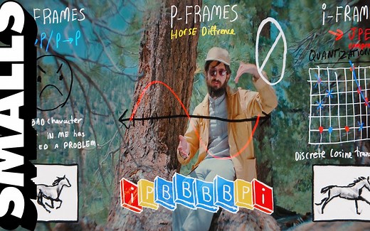 【中字】视频编解码器概论及使用指南  by Alan Resnick