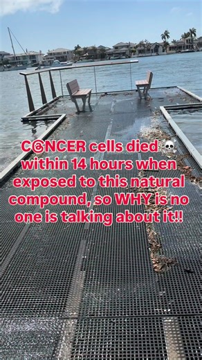 @lowtox.parasites on Instagram: "‼️This STUDY stopped me in my tracks‼️ Scientists tested a completely natural compound formed from ancient soil and peat — and what they observed under the microscope was remarkable. Researchers exposed human melanoma (skin cancer) cells to humic and fulvic acids, naturally occurring compounds created over thousands of years in the earth. What happened next was wild ⏱️ Within just 14 hours: 🧬 Growth signals were switched OFF ⚠️ Death signals were switched ON 💥 