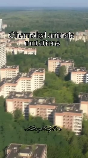 Mutant Animals of Chernobyl - Genetic Mutations and Transformations