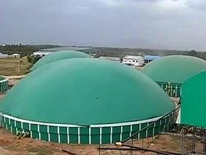 Tamil Nadu firm produces electricity using poultry waste