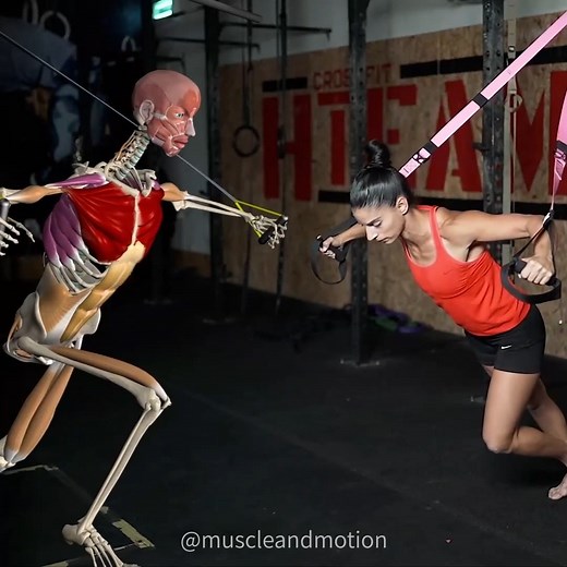 Muscle and Motion on Instagram: "💪 𝗖𝗵𝗲𝘀𝘁 𝗙𝗹𝘆, 𝗦𝗶𝗻𝗴𝗹𝗲-𝗹𝗲𝗴 𝗙𝗹𝗲𝘅𝗲𝗱 (𝗦𝘁𝗿𝗮𝗽𝘀) 💪 Straps are an excellent tool for enhancing stability and building muscle strength. In this exercise, we will focus on the chest muscles while also introducing an additional challenge by reducing the body's base of support by performing this exercise on one leg. 𝗪𝗵𝘆 𝘀𝗵𝗼𝘂𝗹𝗱 𝘆𝗼𝘂 𝗶𝗻𝗰𝗼𝗿𝗽𝗼𝗿𝗮𝘁𝗲 𝗦𝗶𝗻𝗴𝗹𝗲-𝗹𝗲𝗴 𝗖𝗵𝗲𝘀𝘁 𝗙𝗹𝘆 𝗶𝗻𝘁𝗼 𝘆𝗼𝘂𝗿 𝗿𝗼𝘂𝘁𝗶𝗻𝗲? 1️⃣ Challe