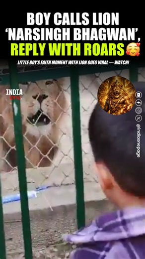 India One Page 🇮🇳 on Instagram: "A viral video shows a young child calling a lion ‘narsingh bhagwan’ with complete innocence and faith. Moments later, the lion lets out a powerful roar, creating an intense yet unforgettable scene. The clip has caught the attention of many online, with viewers reacting to the child’s fearless devotion and the dramatic timing of the lion’s response. Some called it a coincidence, while others saw it as a symbolic moment of faith. The video continues to circulate 