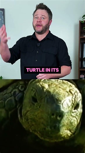Aeschylus: Killed by a turtle?! 🐢