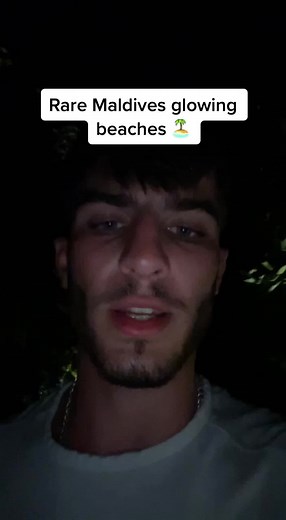 Rare Glowing Beaches in Maldives - Spectacular Natural Phenomenon