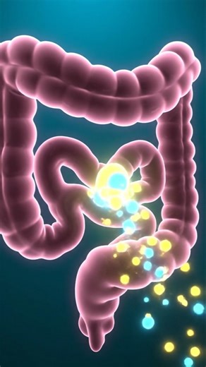 The Science Behind Farts! 💡 #shorts #fartfacts