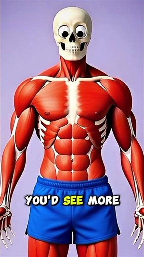 What You Actually Look Like Inside Your Body (3D)