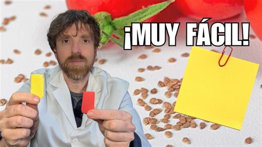 SOBRES DE PAPEL MUY FÁCILES (cuatro pasos) | Con POST-IT para semillas | Miguel Muñoz Sánchez