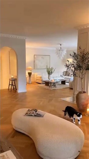 🤍🏚️#moderndecor#architecturedesign #modernhome #diy #room #home #decor #homeinterior #homerenovation