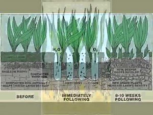 Two Minute Tips - What is Aeration