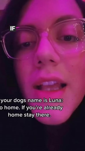 78K views · 2.5K reactions | Just here to defend my dog #dog #dogdad #dogsofinstagram #reelsviral #reactionboi #reaction | Dustin Poynter | Facebook