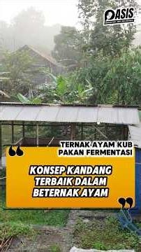 BEST CHICKEN COOP AT HOME