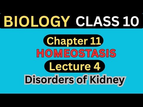 Disorders of Kidney | Chapter 11 Homeostasis | Lecture 4 | Class 10 Biology