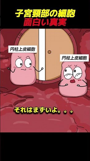 子宮頸部の細胞面白い真実