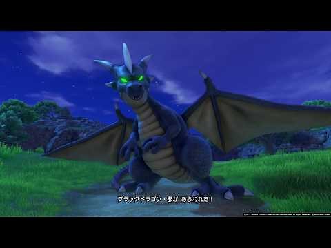 【ドラゴンクエストXI】 ブラックドラゴン・邪