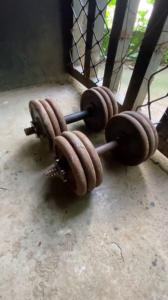 Essential Dumbbell Set for Home Workouts