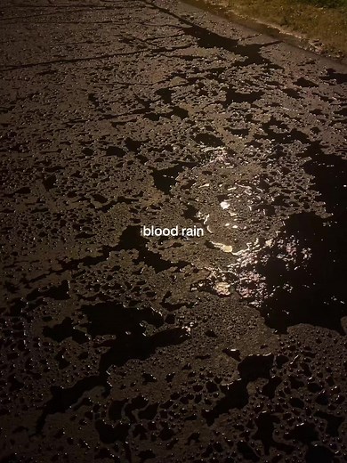 Exploring the Aesthetic of Blood Rain at Night