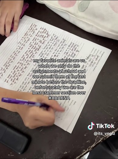 Cramming: The Best Strategies for Students in School