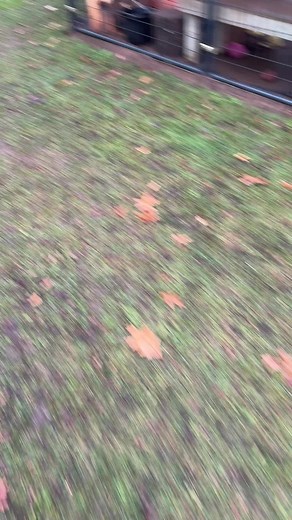 Good Morning Luna: A Funny Bloopers Compilation