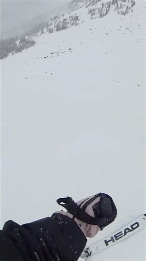 Whistler Powder Day!