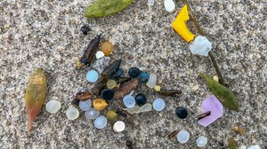 Fish-Bot Sucks Up Microplastics From Water