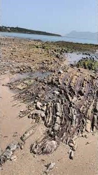 A little bit of GEOLOGY, what is a FLYSCH?