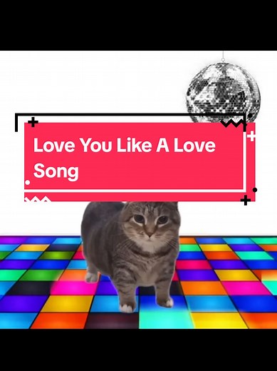 OIA Cat Sings 'Love You Like A Love Song'