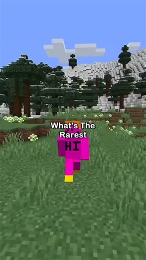 17 reactions · 4 comments | Minecraft NEW 3DS Edition . . . . . . . #minecraftbedrock #minecraftclips #minecraftbuild #minecrafttutorial #minecrafters #minerals #minecraft #minecraftpe #mine #tiktok #minecraftbuilding #fpv | Camman18 | Facebook