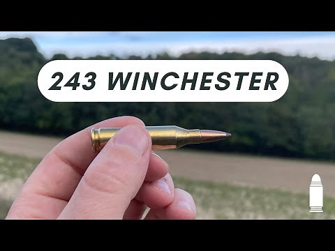 The 243 Winchester