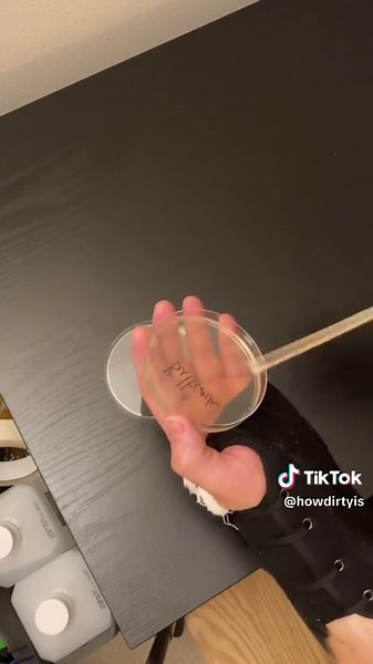 Exploring Fascinating Microbiology Facts and Experiments