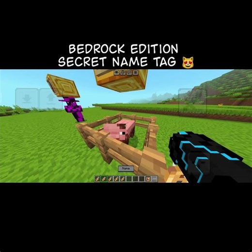 Minecraft Bedrock Secret That Will Surprise You! 🔥