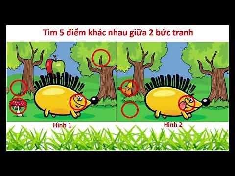 Tìm 5 điểm khác nhau giữ 2 bức tranh - Lotus Official
