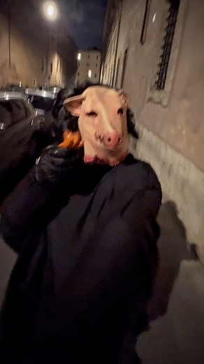 116K views · 1.7K reactions | PORCELLINO SPAVENTOSO⚙️. #pig #piggylove #prank #scherzo #saw #movies #horrorfan #halloweencostume #reaction #trend #tiktokviral #reelsvideoシ #fbyシvideo | Matteo Del Campo | Facebook