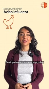 431K views · 2.7K reactions | Highlights from the #avianinfluenza...