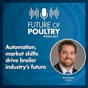 Automation, market shifts drive broiler industry’s future