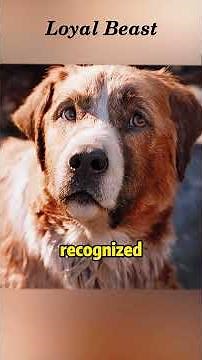 Ever seen the dog behind a wolf king?#movieclips #viral #hearttouching