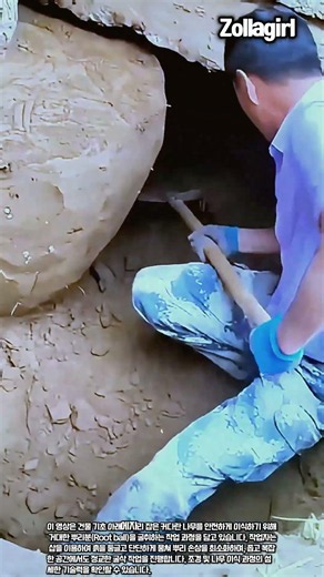 뿌리 손상을 막는 완벽한 나무 뿌리분 만들기 과정 #worker #process #tree #transplant #landscaping