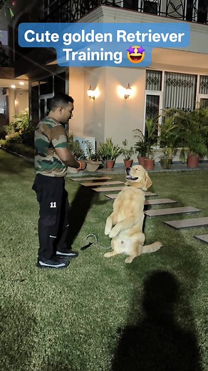 Golden Retriever puppy Training #goldenretriever #dogsofinstagram #goldenretrieversofinstagram #dog #puppy #dogs #goldenretrievers #goldenretrieverpuppy #golden #puppylove #puppiesofinstagram #goldensofinstagram #doglover #dogoftheday #doglovers #goldenpuppy #retriever #doglife #dogstagram #goldenretrieverlove #instadog #goldens #puppies #goldenretrieverlovers #labrador #love #cute #pet #retrievers #pets | Foji Dog Trainer India